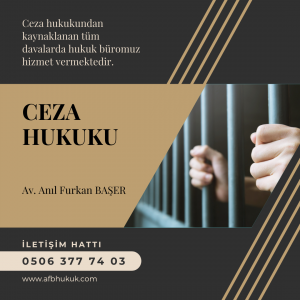 ceza hukuku ağır ceza
